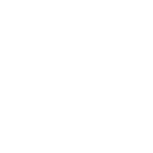 icon beratung.png